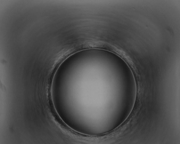 X0000091000010200708021610