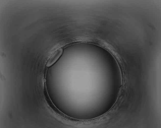 X0000091000011200708021610
