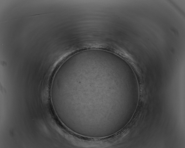 X0000091000012200708021610