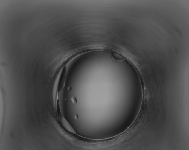 X0000091000013200708021610