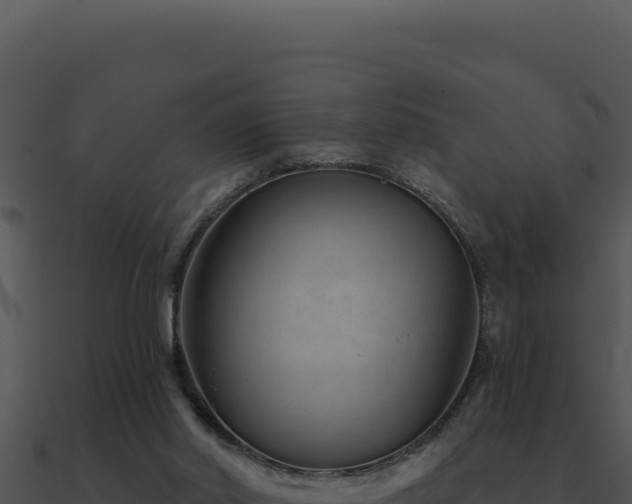 X0000091000014200708021610