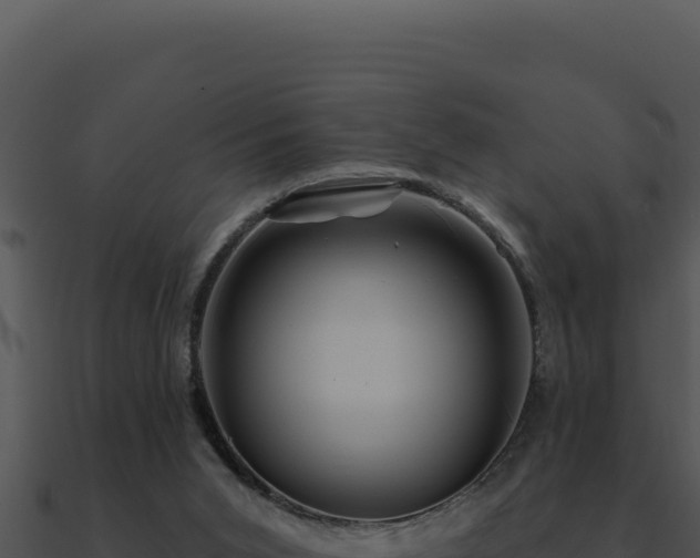 X0000091000015200708021610