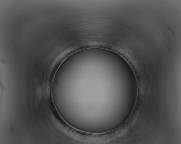 X0000091000016200708021610