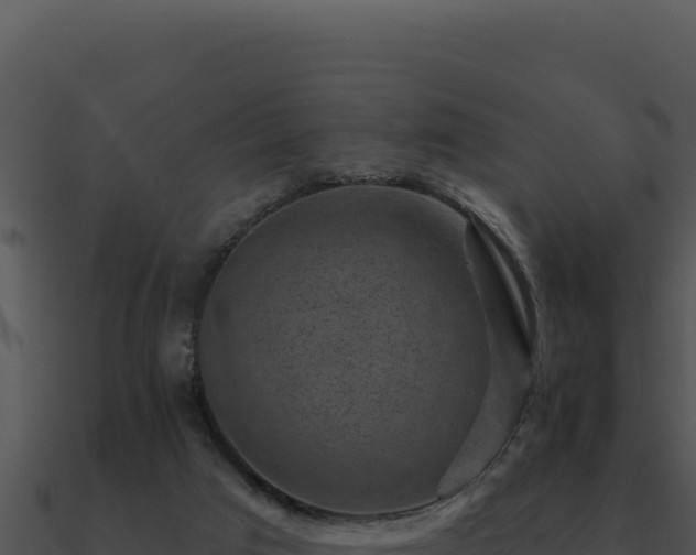 X0000091000017200708021610