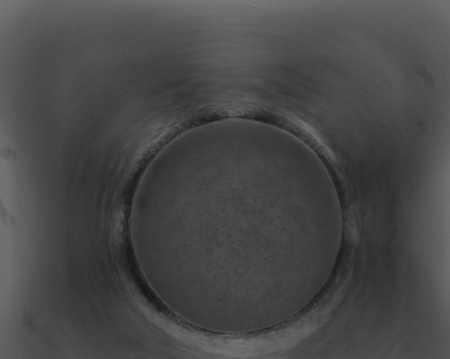 X0000091000018200708021610