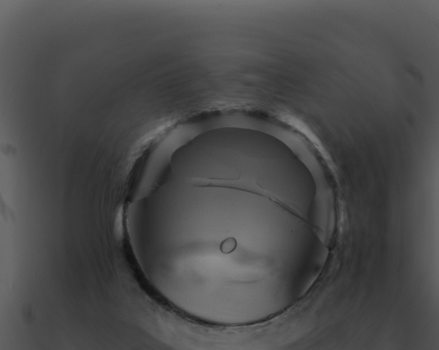 X0000091000019200708021610
