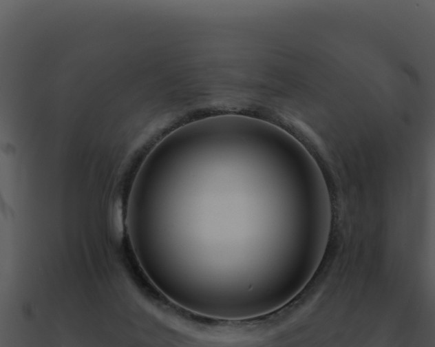 X0000091000020200708021610