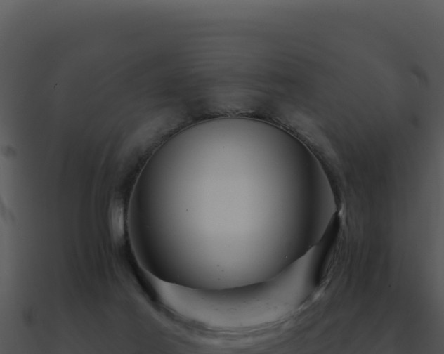 X0000091000021200708021610