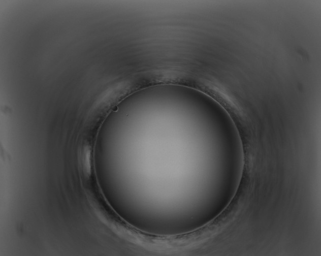 X0000091000022200708021610