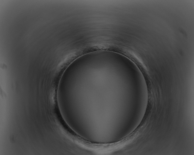 X0000091000023200708021610