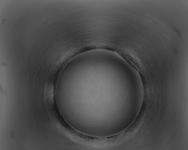 X0000091000024200708021610
