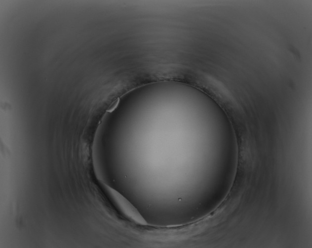 X0000091000025200708021610