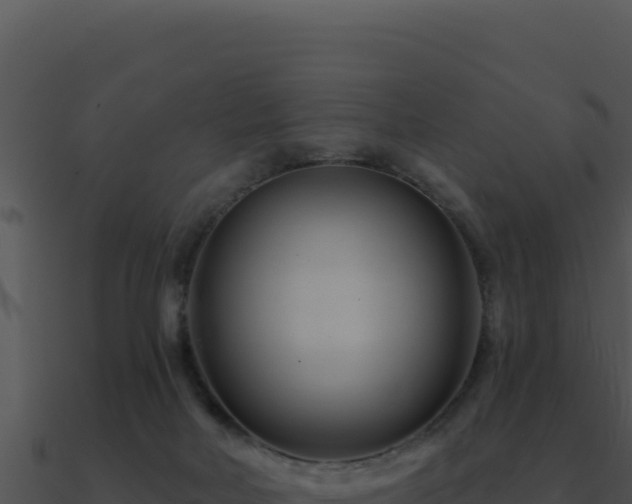 X0000091000026200708021610
