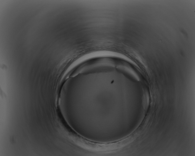X0000091000027200708021610