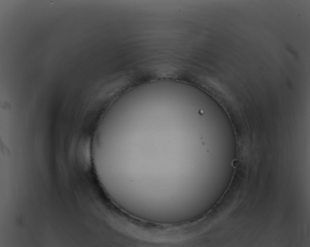 X0000091000028200708021610
