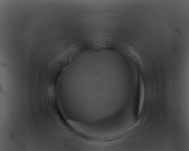 X0000091000029200708021610