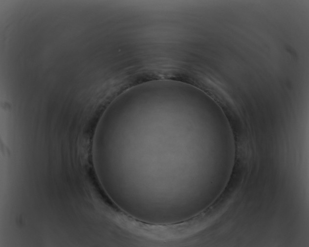 X0000091000030200708021610