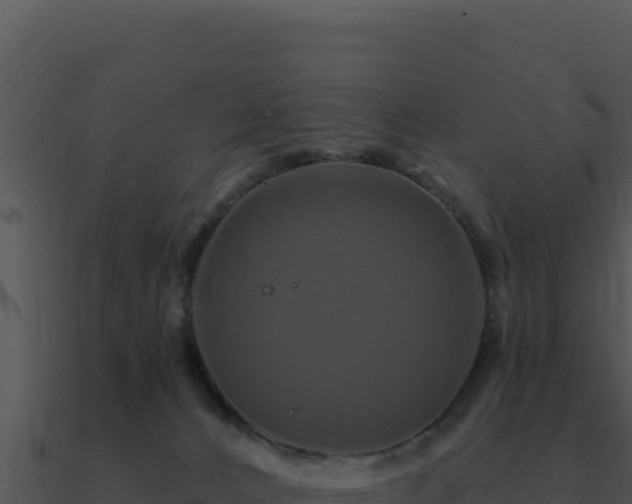 X0000091000032200708021610