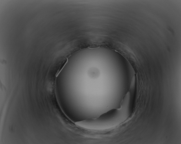 X0000091000033200708021610