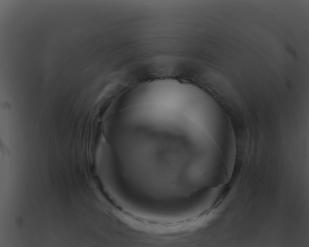 X0000091000035200708021610