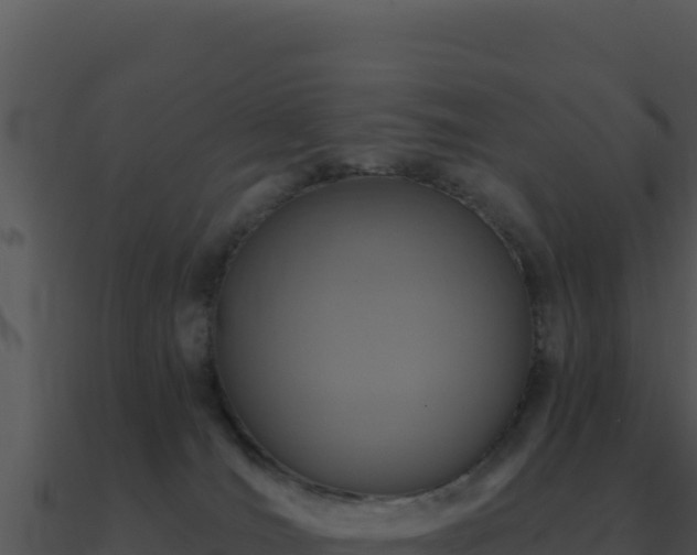 X0000091000036200708021610