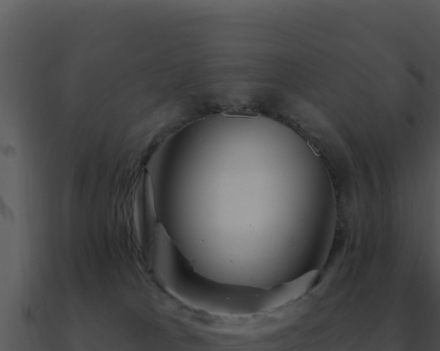 X0000091000037200708021610