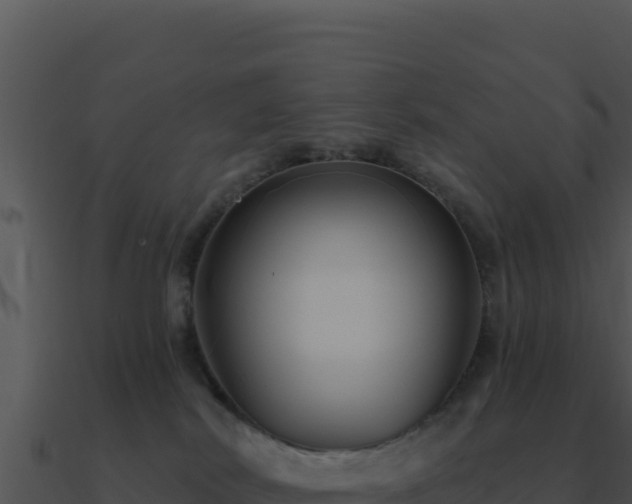 X0000091000038200708021610