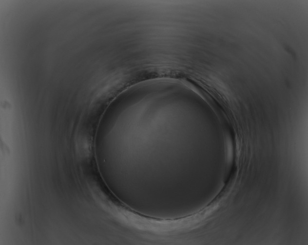 X0000091000039200708021610