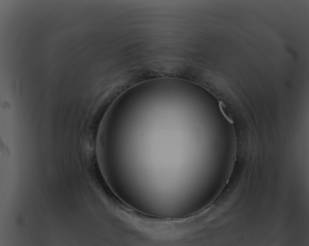 X0000091000040200708021610