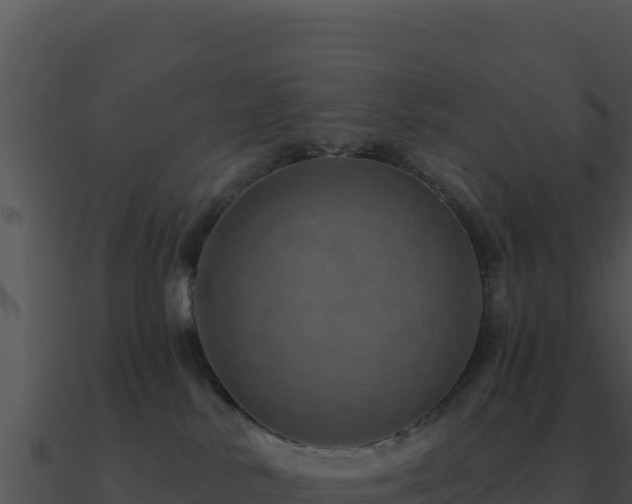 X0000091000042200708021610