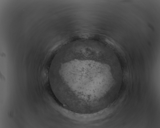 X0000091000043200708021610