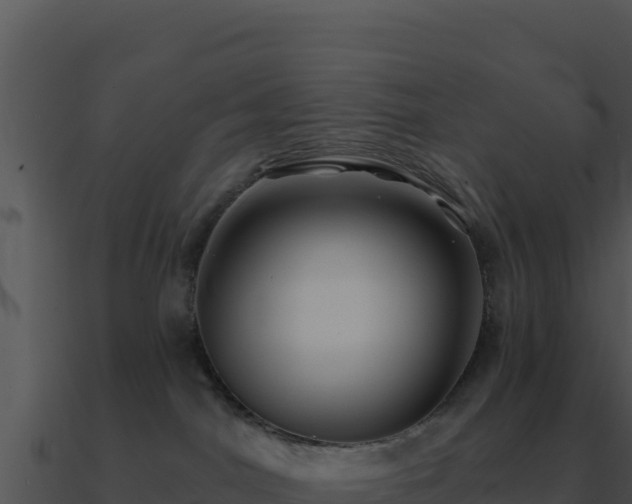 X0000091000044200708021610