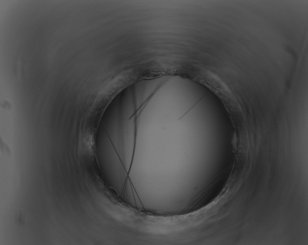 X0000091000045200708021610