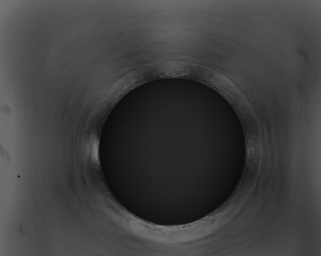 X0000091000046200708021610