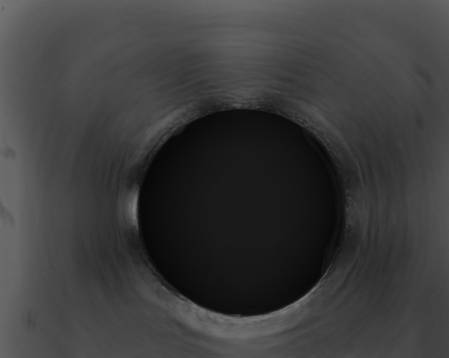 X0000091000047200708021610