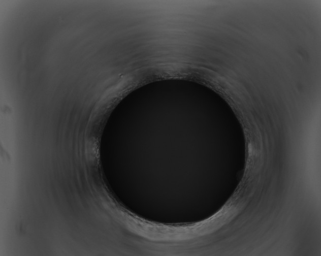 X0000091000048200708021610