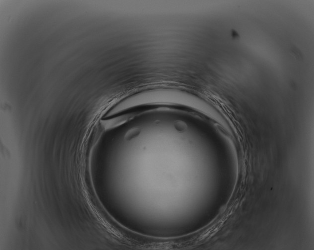 X0000091000049200708021609