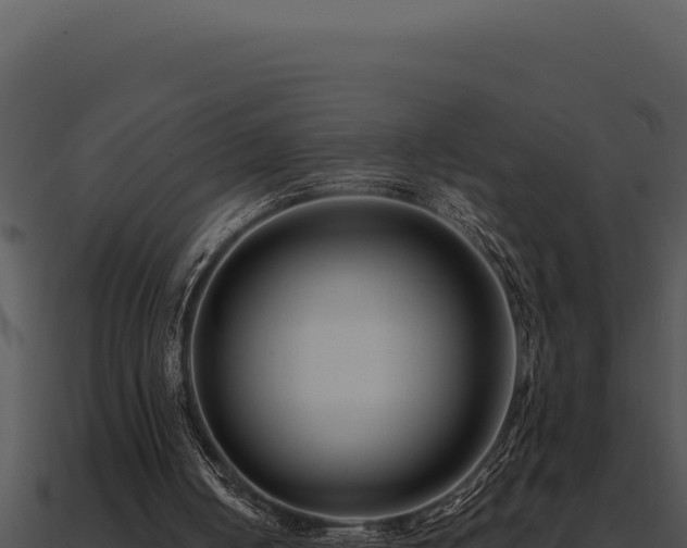 X0000091000050200708021609