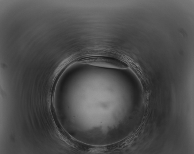 X0000091000051200708021609