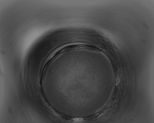 X0000091000052200708021609