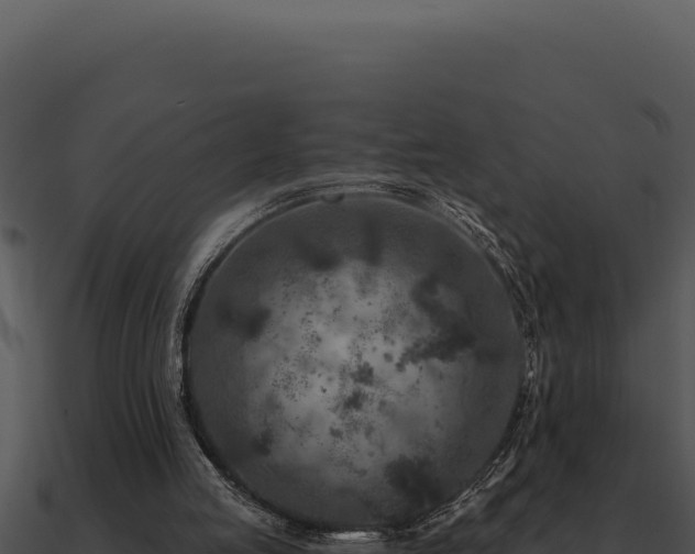 X0000091000053200708021609