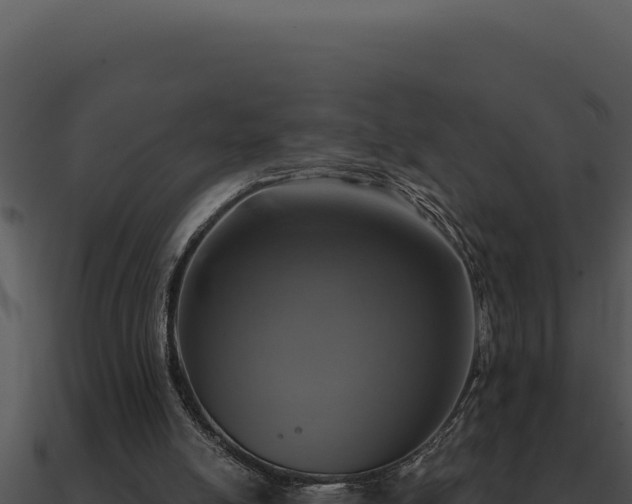 X0000091000054200708021609
