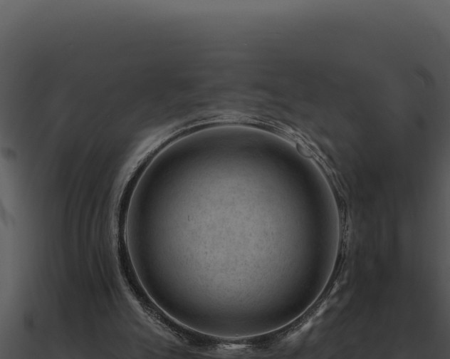 X0000091000055200708021609