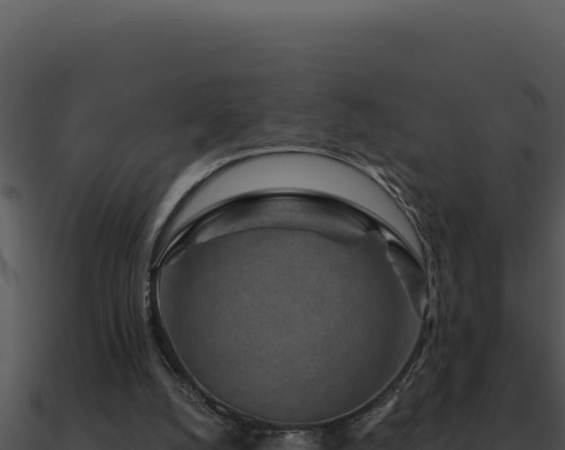 X0000091000056200708021609