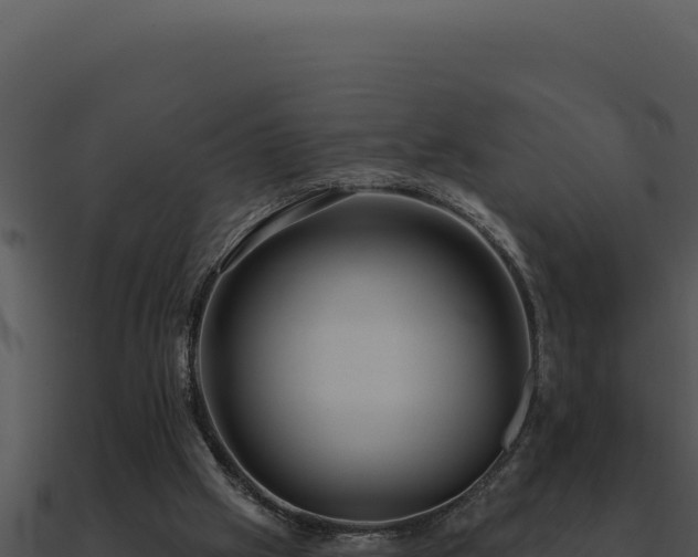 X0000091000057200708021609