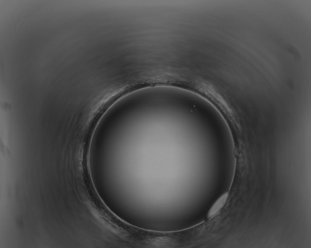 X0000091000058200708021609