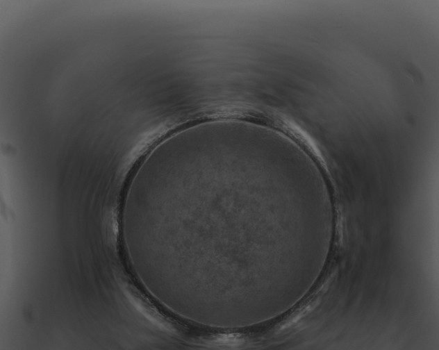 X0000091000059200708021609