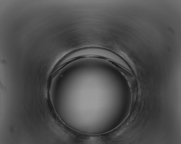 X0000091000060200708021609