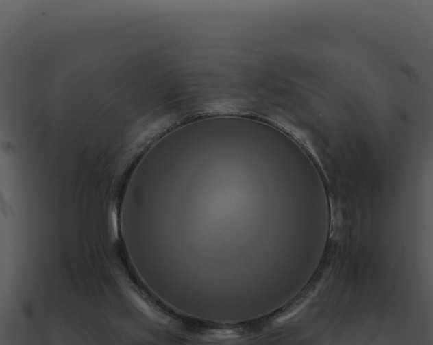 X0000091000061200708021609