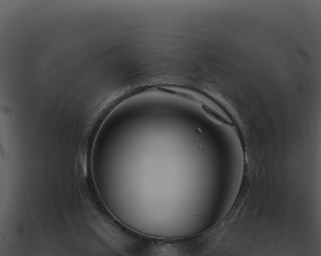 X0000091000062200708021609